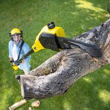 Lawn Grading and Leveling in Covington, GA