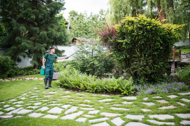 Best Commercial Tree Services  in Covington, GA